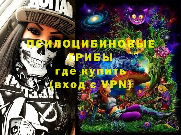 дживик Армянск