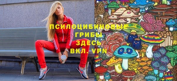 дживик Армянск