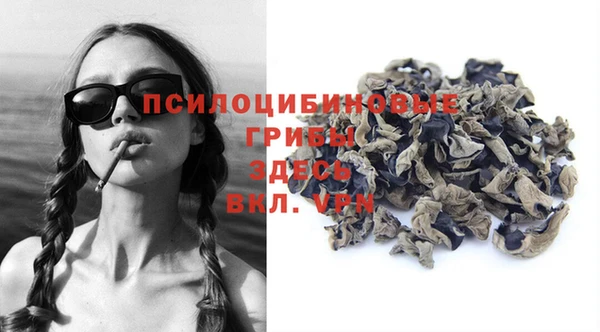 мескалин Арсеньев
