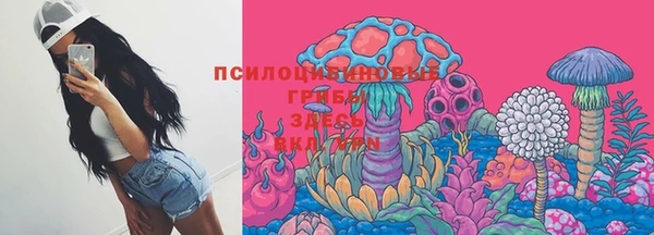 каннабис Аркадак