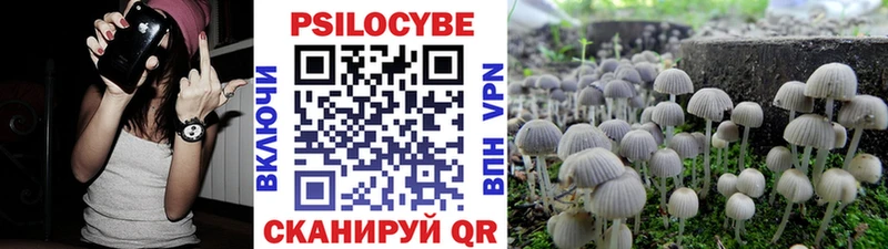 Галлюциногенные грибы ЛСД  Бавлы 